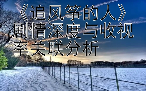 《追风筝的人》剧情深度与收视率关联分析